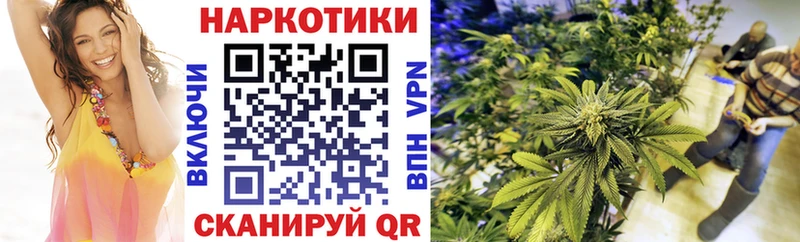 Продажа наркотиков Каргополь Каннабис  АМФ  кракен вход  МЕФ  Кокаин  ГАШИШ 