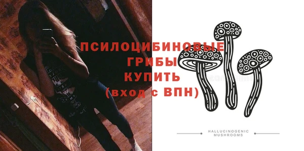 PSILOCYBIN Волосово