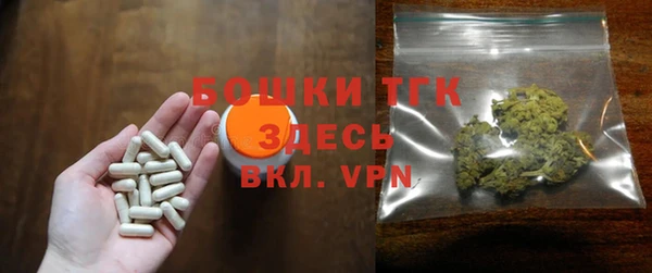 шишки Верхний Тагил
