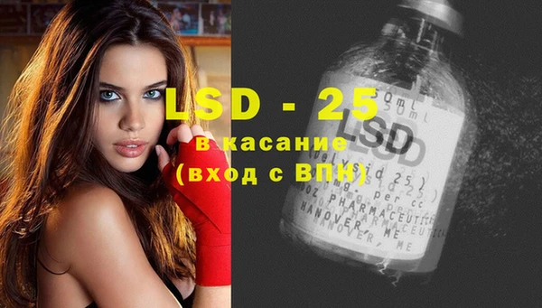 шишки Верхний Тагил