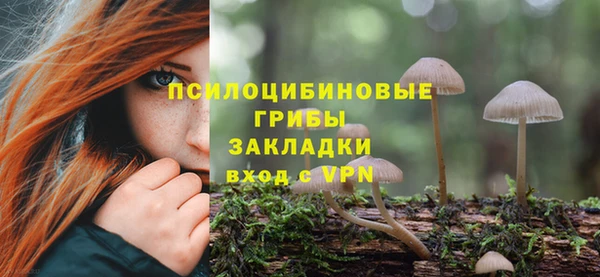 МДПВ Верея