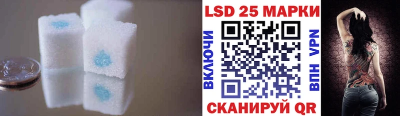 дарнет шоп  Каргополь  ЛСД экстази ecstasy 