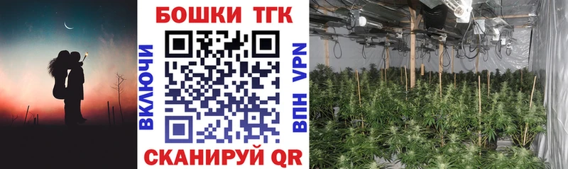 Бошки Шишки THC 21%  Каргополь 